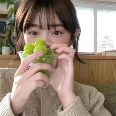 小小北极熊